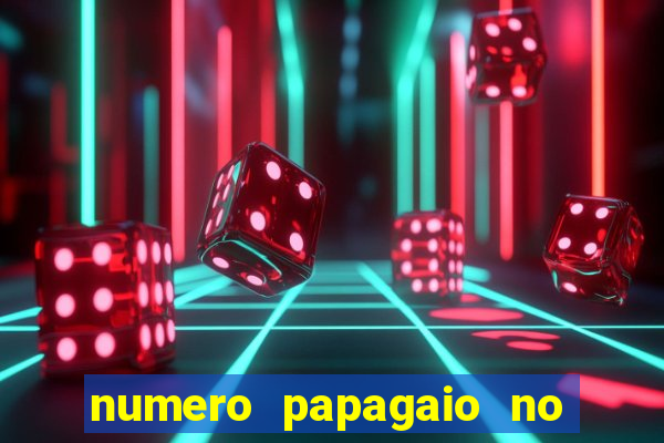 numero papagaio no jogo do bicho