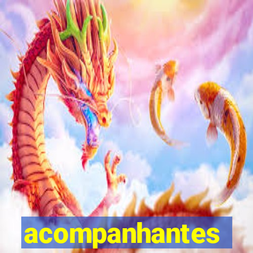 acompanhantes chamada de video