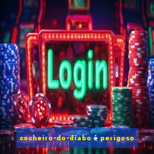 cocheiro-do-diabo é perigoso