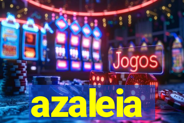 azaleia-br.com