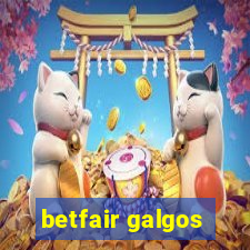 betfair galgos