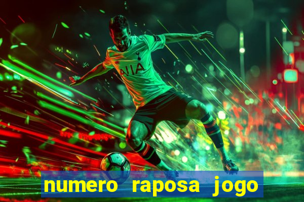 numero raposa jogo do bicho