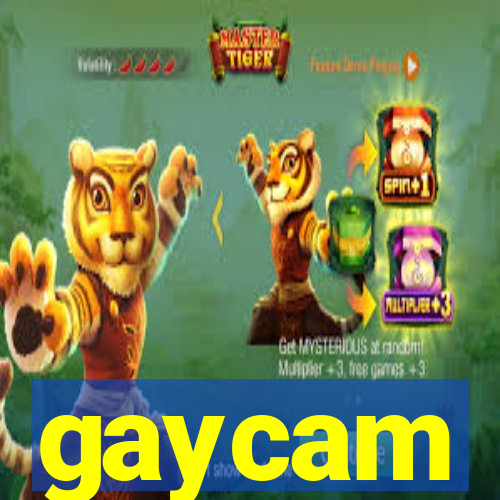 gaycam