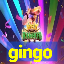 gingo