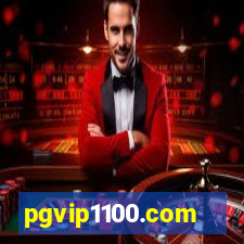 pgvip1100.com