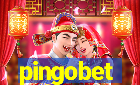 pingobet