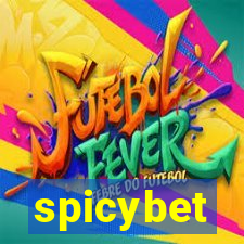 spicybet-1.com