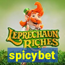 spicybet-4.com