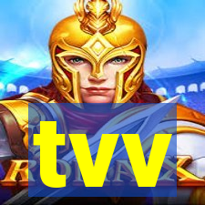 tvv-pg.com