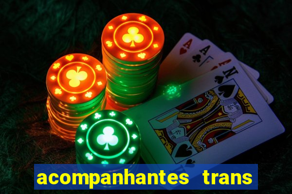 acompanhantes trans baixada fluminense